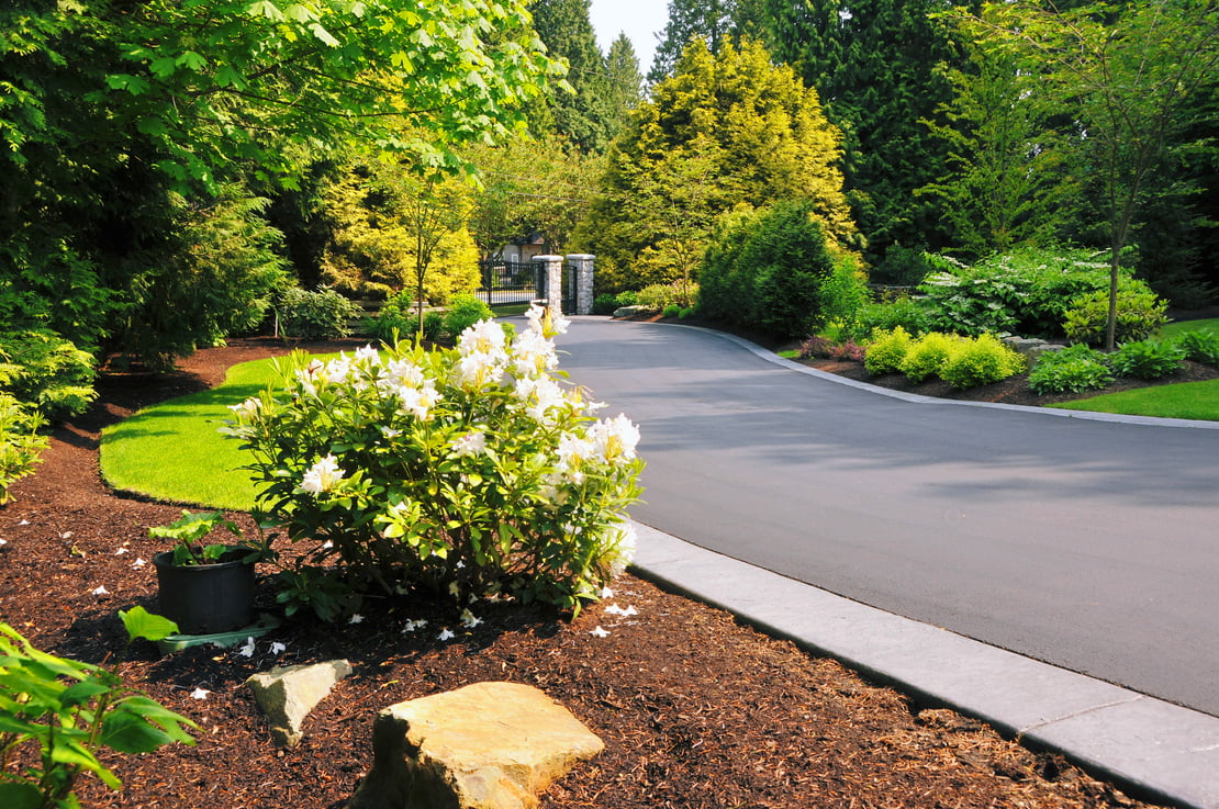 Landscaped Driveway